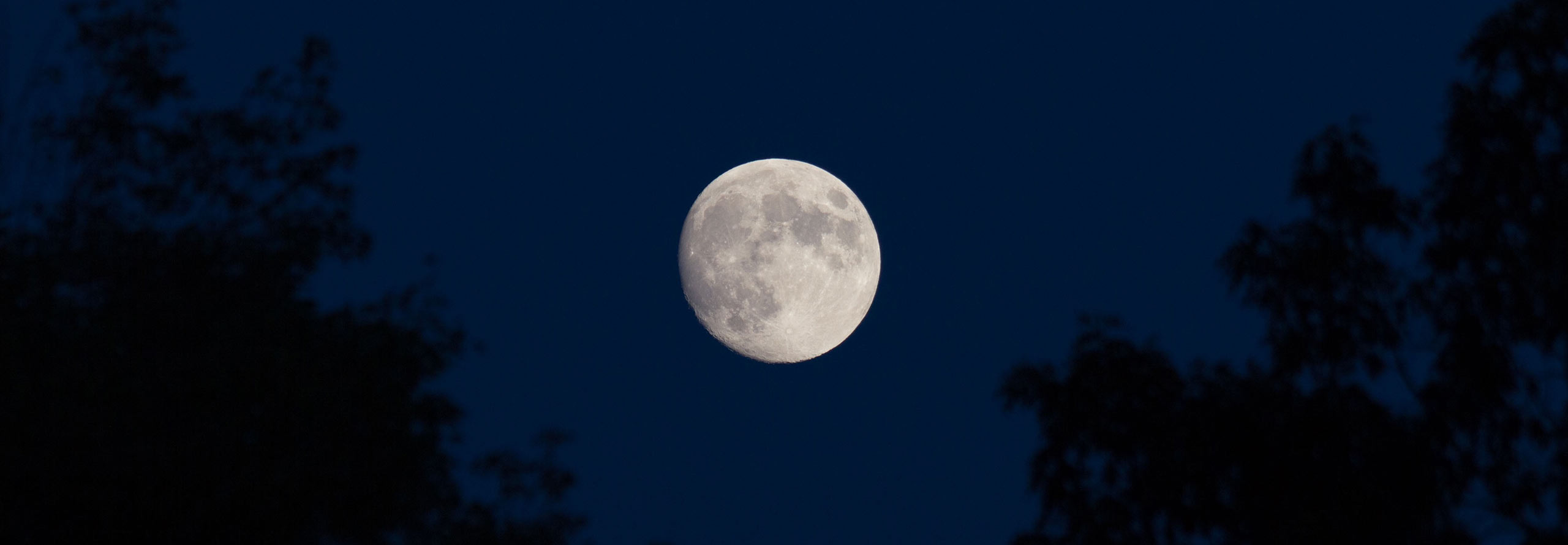 article Full Moon in Gemini: the Power of Words