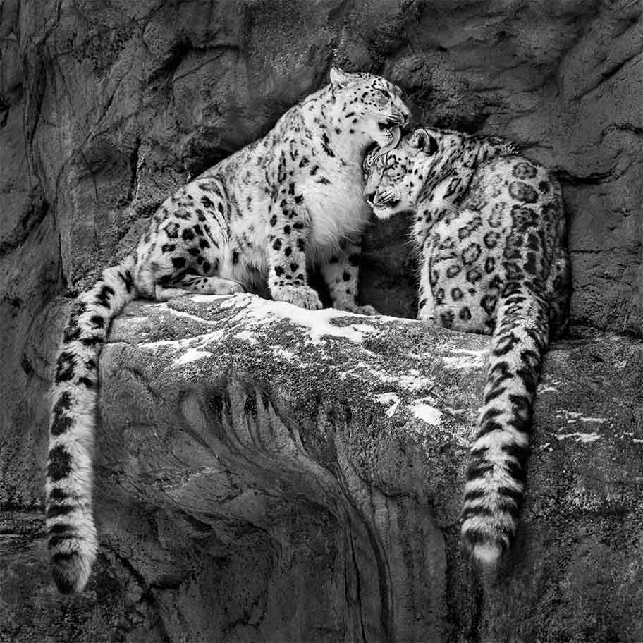 Crystal Diamond Connection Item