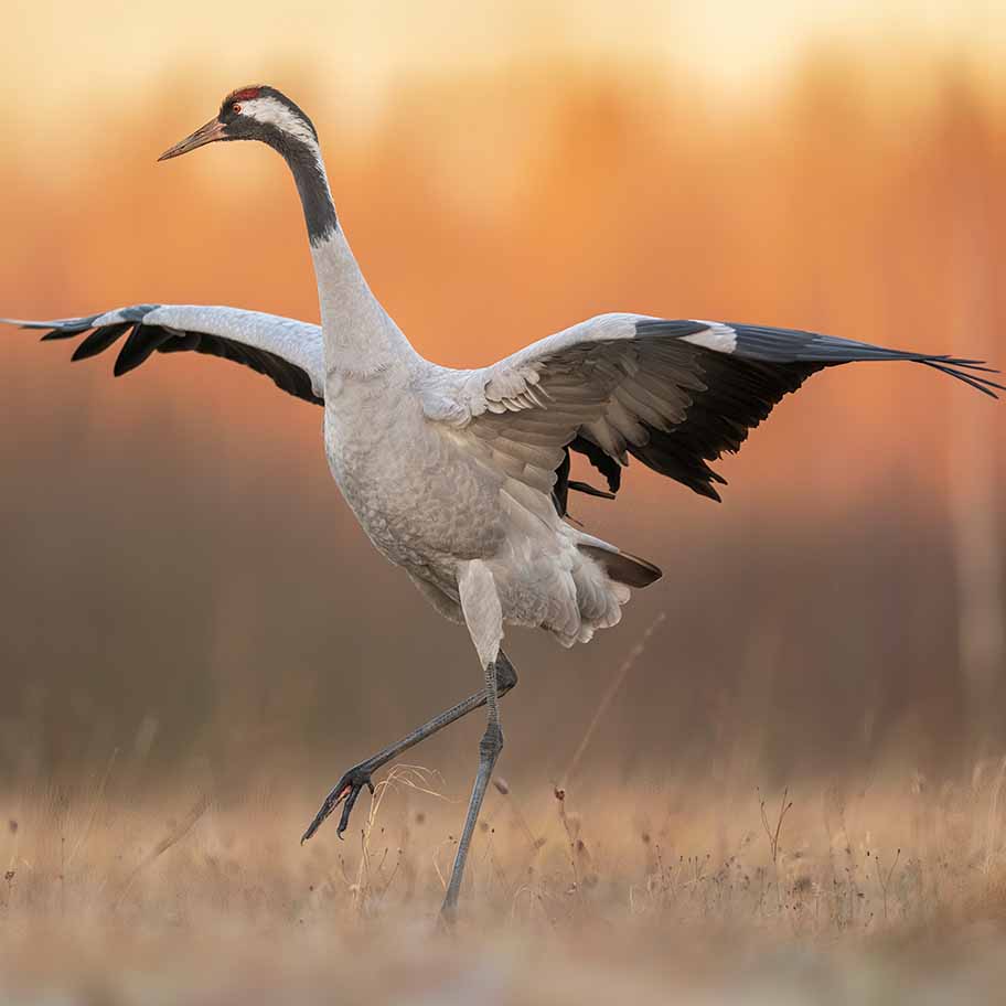 Crystal Blue Calcite Connection Item